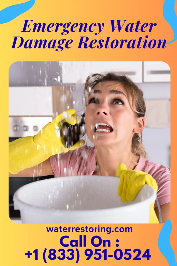Emergency Water Damage Restoration in Summertown, GA
