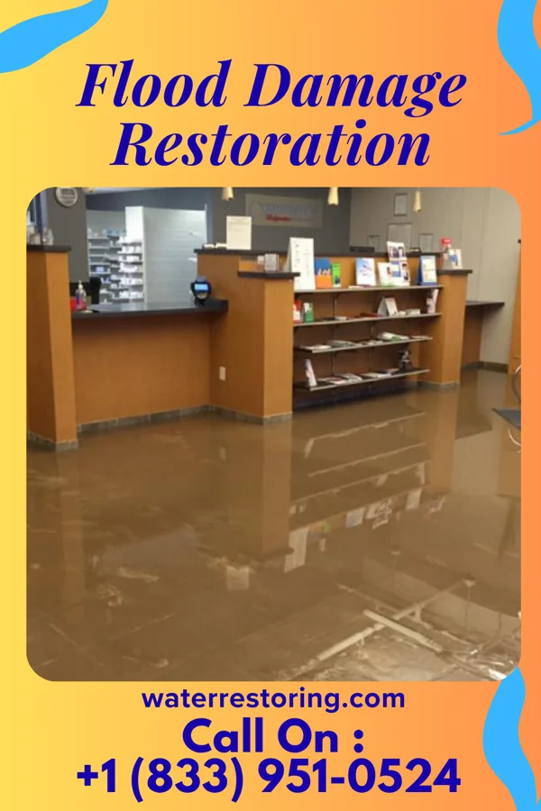 Flood Damage Restoration in Summertown, GA