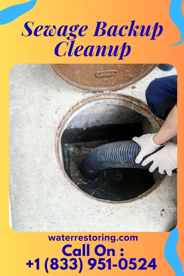 Sewage Backup Cleanup in Summertown, GA