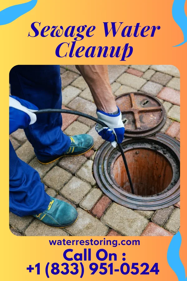 Sewage Water Cleanup in Summertown, GA